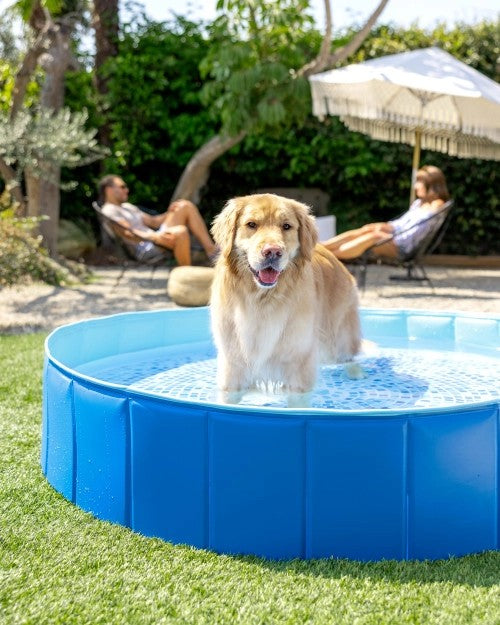 PortableFoldablePetSwimmingPool-60"x12"
