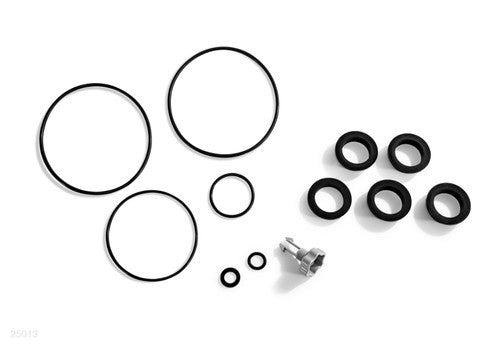 25013,AirReleaseValveAndO-ringsForSandFilterPumps