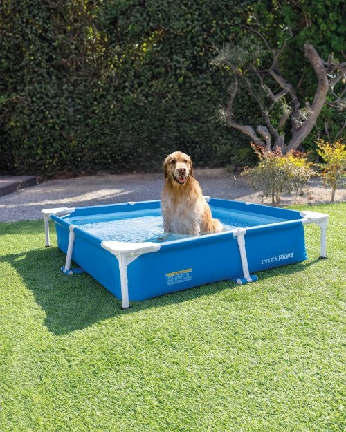 SquareFramePetPoolSetwithFilter