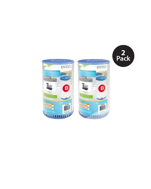 TypeBPoolFilterCartridge-2Pack